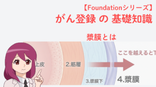消化管壁の構造（上皮・筋層・漿膜下・漿膜）と、漿膜を越えるとT4となる境界を示した図｜がん登録の基礎知識