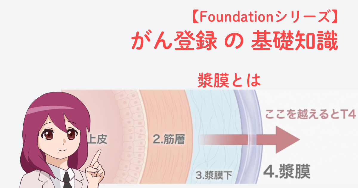 消化管壁の構造（上皮・筋層・漿膜下・漿膜）と、漿膜を越えるとT4となる境界を示した図｜がん登録の基礎知識