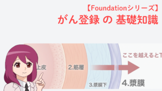 消化管壁の構造（上皮・筋層・漿膜下・漿膜）と、漿膜を越えるとT4となる境界を示した図｜がん登録の基礎知識