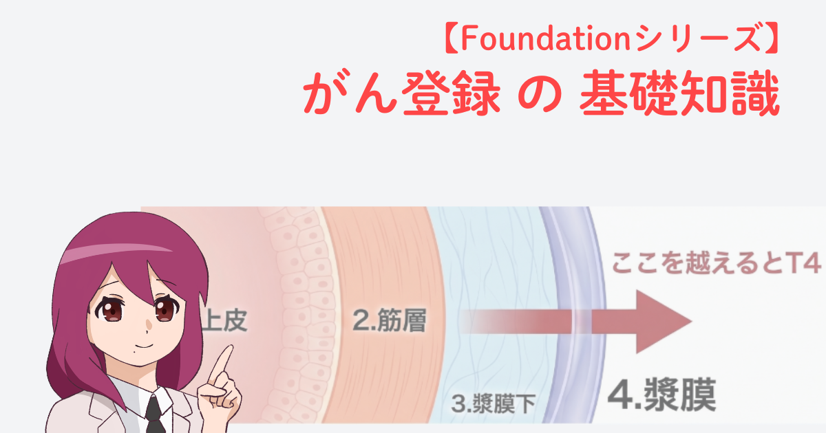 消化管壁の構造（上皮・筋層・漿膜下・漿膜）と、漿膜を越えるとT4となる境界を示した図｜がん登録の基礎知識